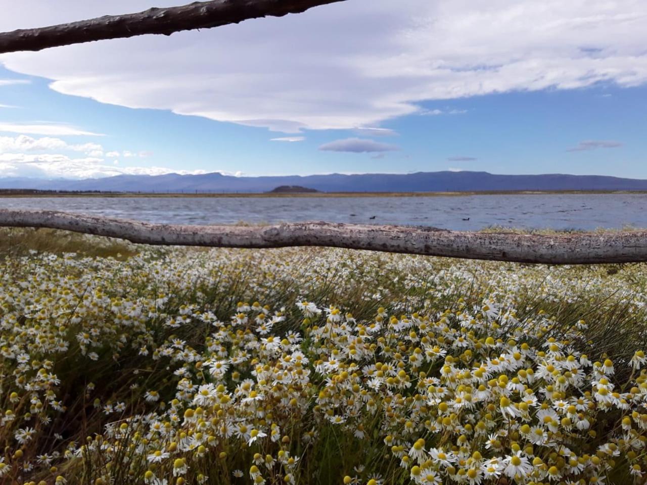 Hostel Aves Del Lago El Calafate Exteriér fotografie